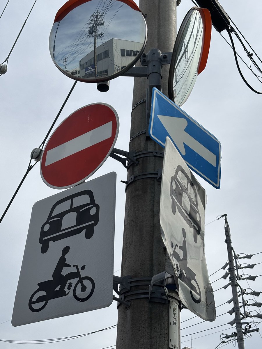 Matango®︎(マタンゴ) tweet media