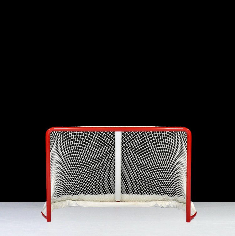 Pi 🇺🇸🏳️‍⚧️🦣 tweet media