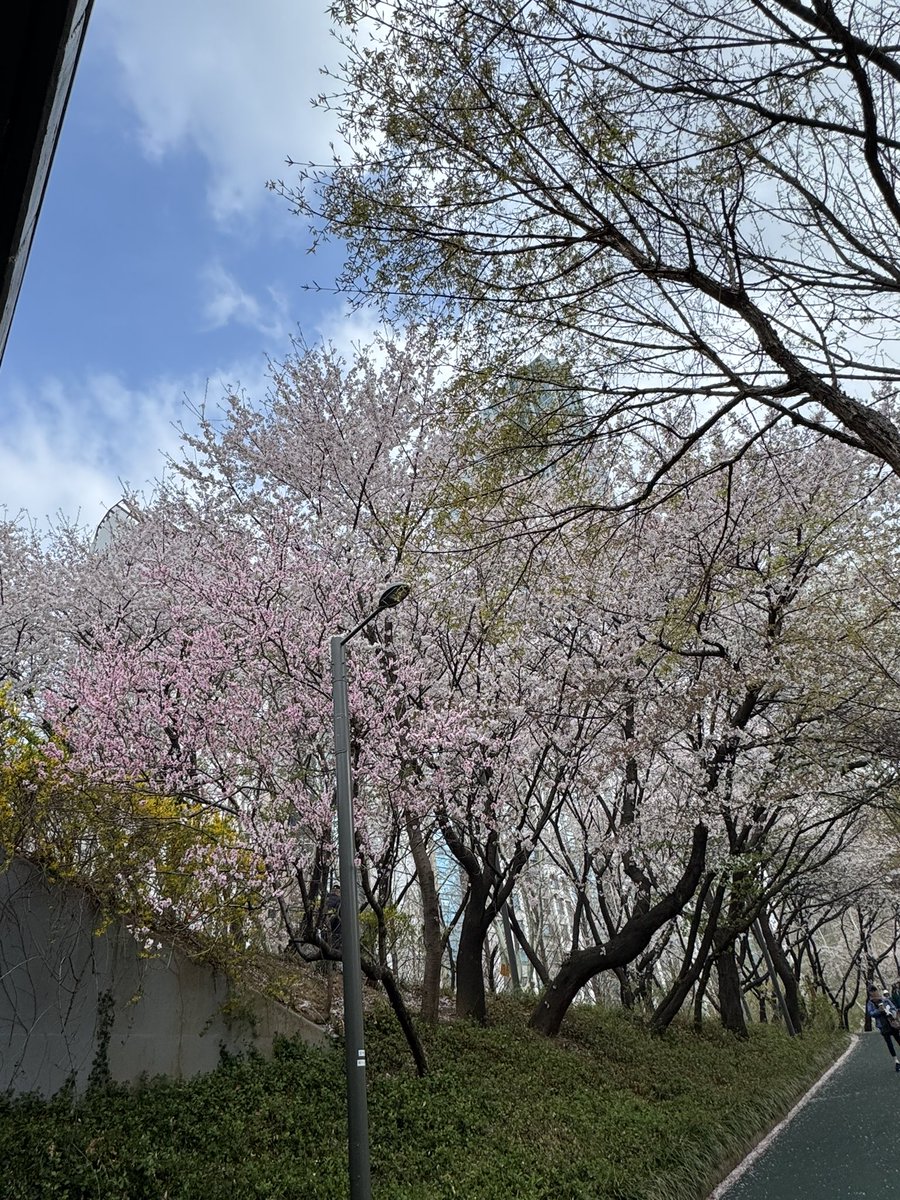 럽마셀리우7 ⒶⓇⒾⓇⒶⓃⒼ tweet media