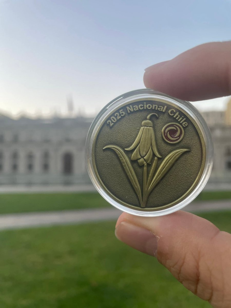 FaB-Chile tweet media