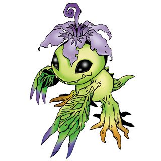 Pumpketo tweet media