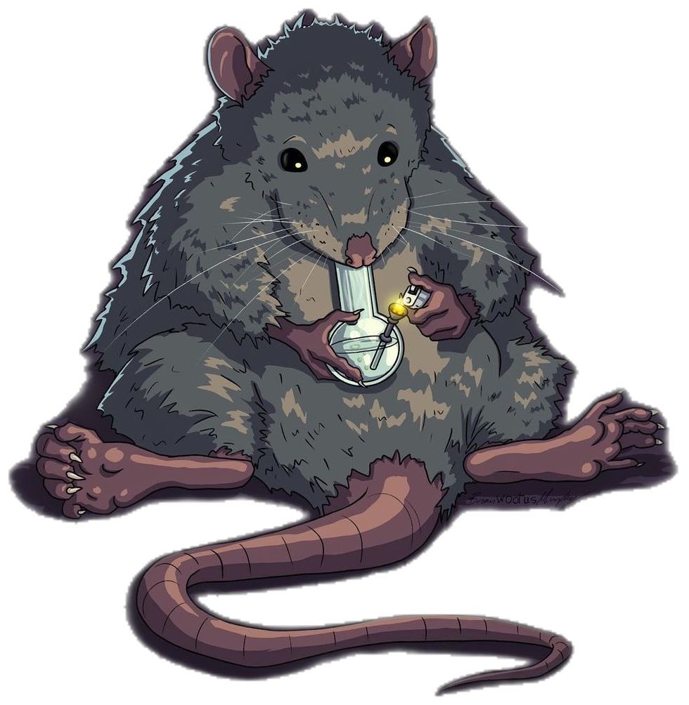 💚𝐑𝐚𝐭𝐛𝐞𝐤𝐤𝐚 𝐓𝐡𝐢𝐤’𝐌𝐨𝐦💚 tweet media