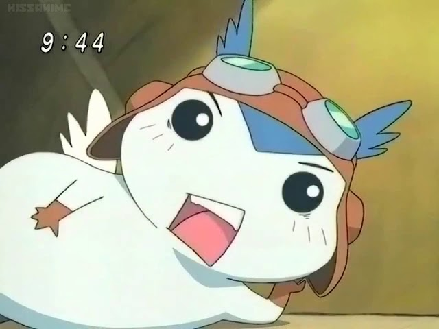 Cute Critter Of The Day tweet media