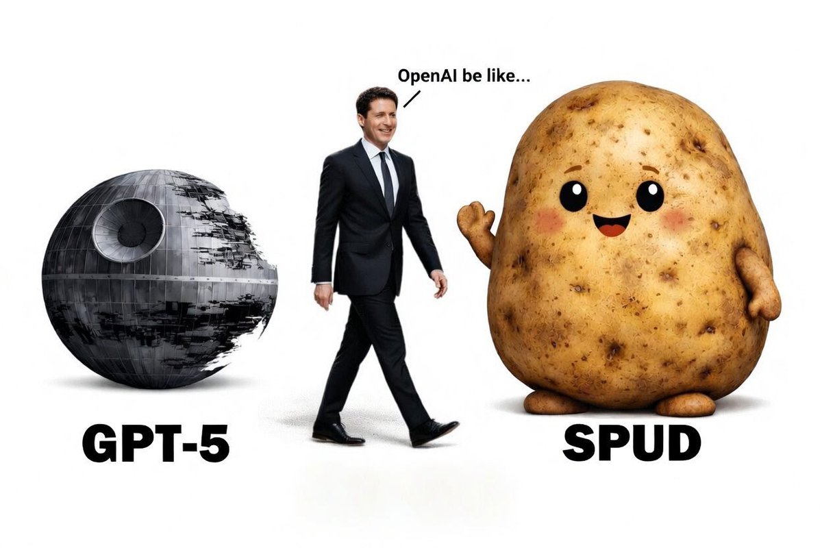 tymoteusz tweet media