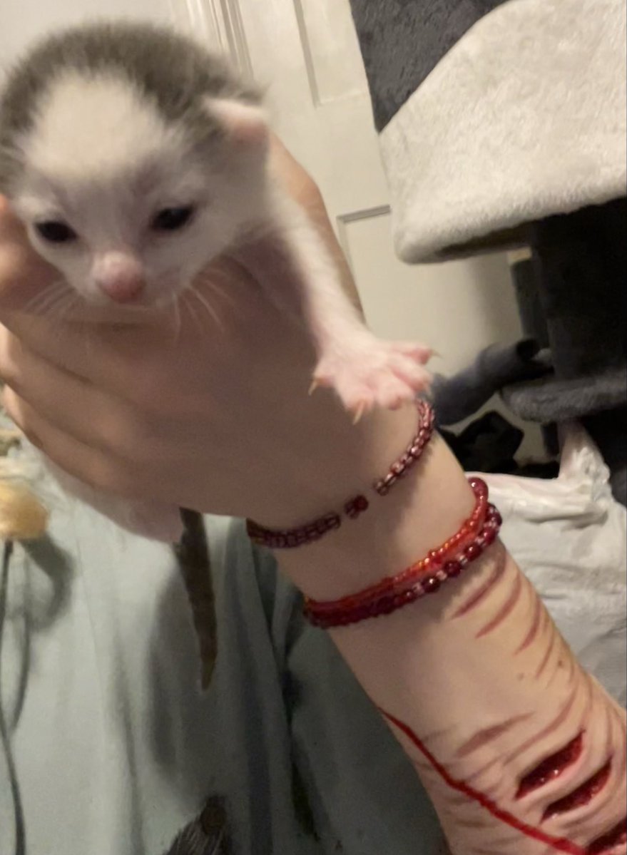 Deprived tweet media