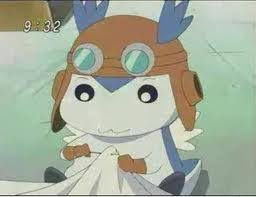 Cute Critter Of The Day tweet media