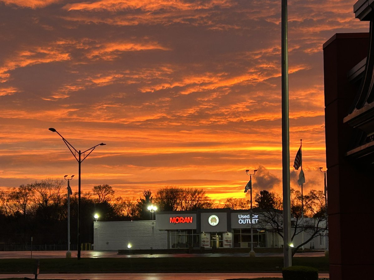 To Binge 2D tweet media