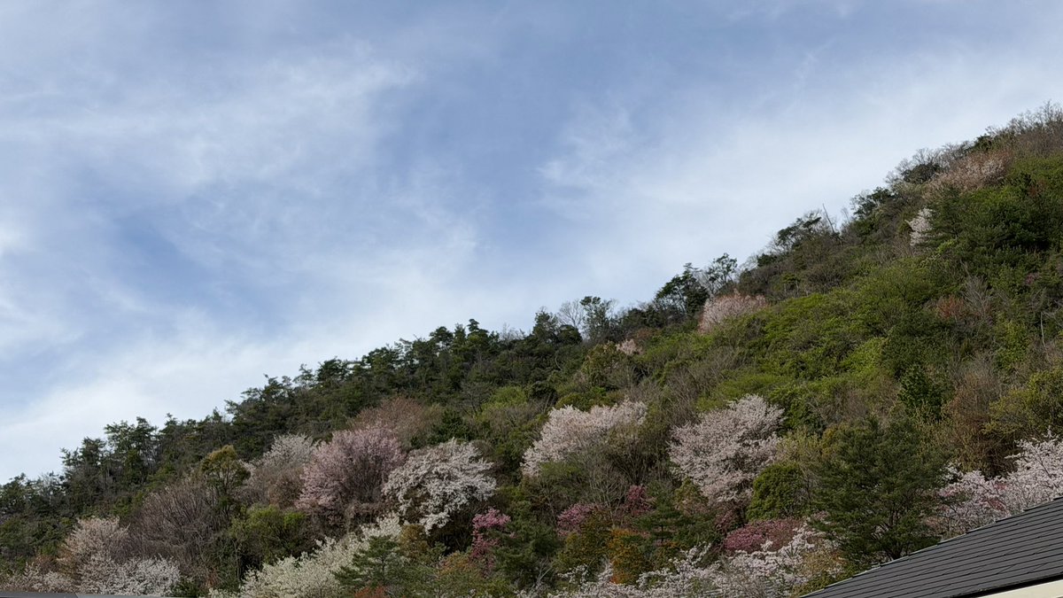 Deathvalley69 tweet media