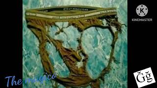 هنا شيعه tweet media