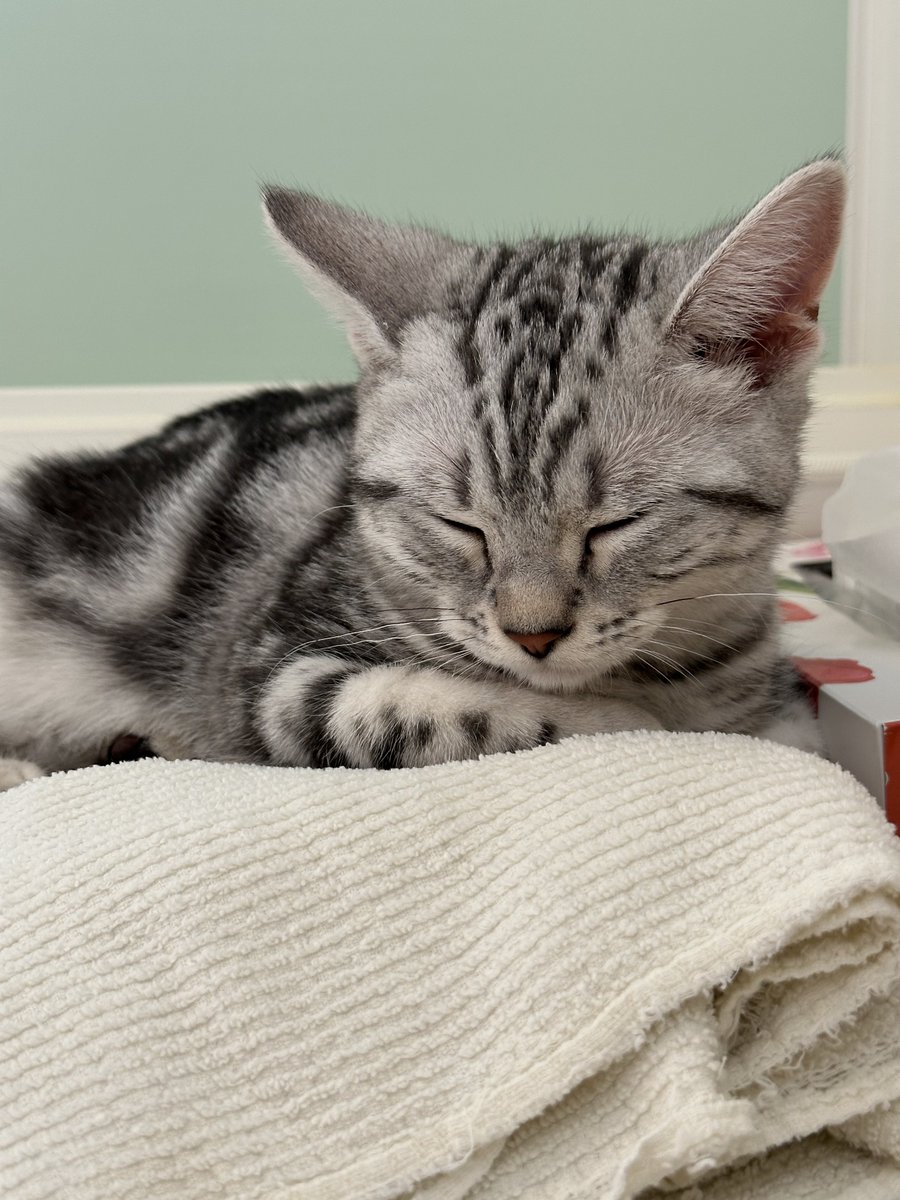 田畑由秋 Tabata Yoshiaki 타바타 요시아키 tweet media