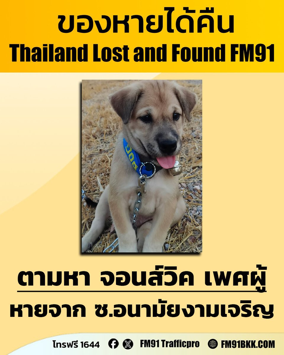 FM91 Trafficpro tweet media