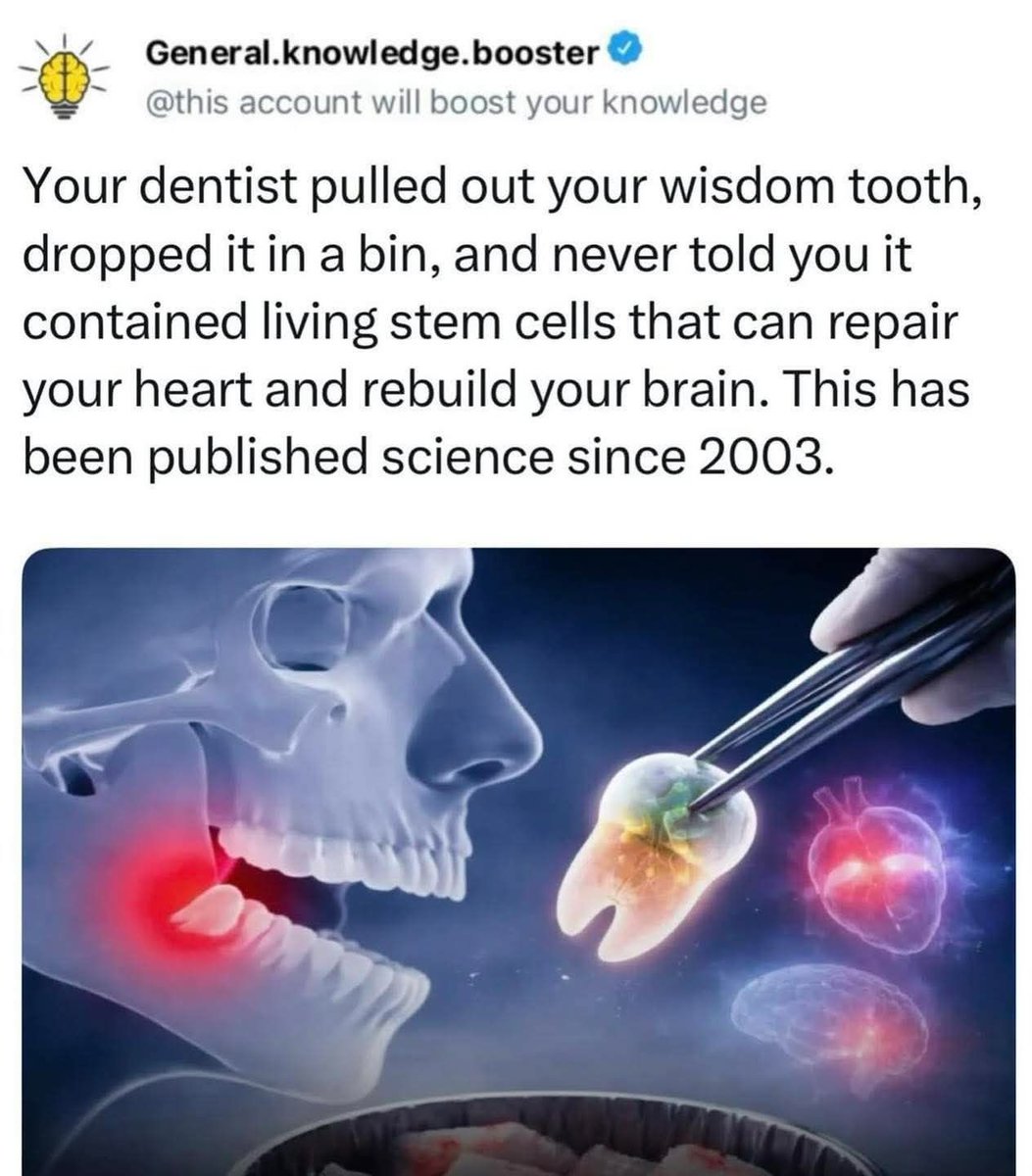 David Wolfe tweet media