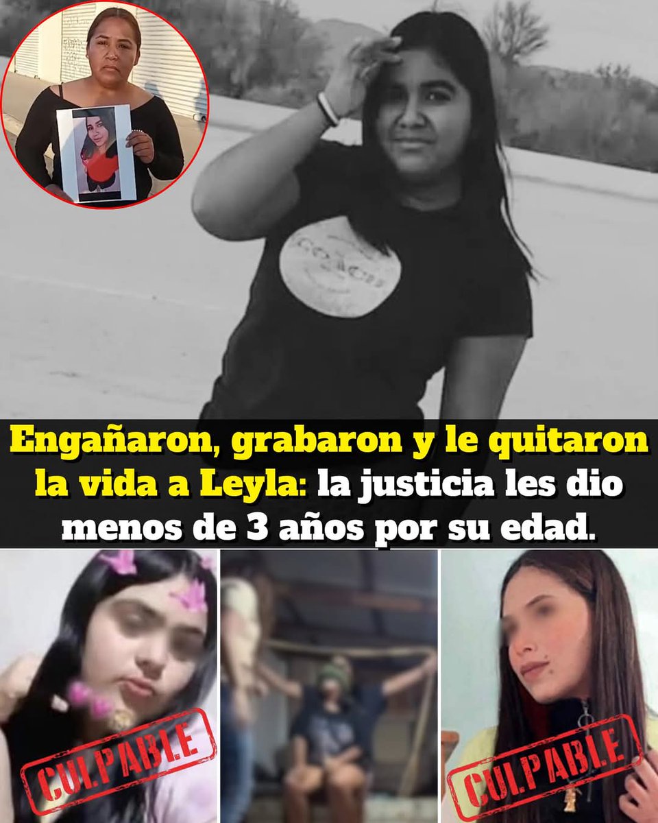 Montana Bravo tweet media