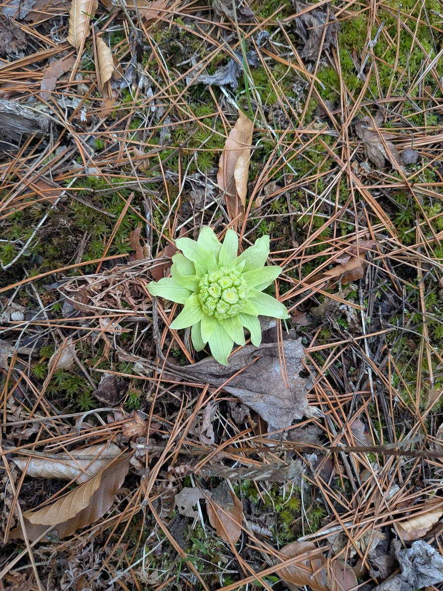 Yuichiro Kimura @11兆円の伝票切った tweet media