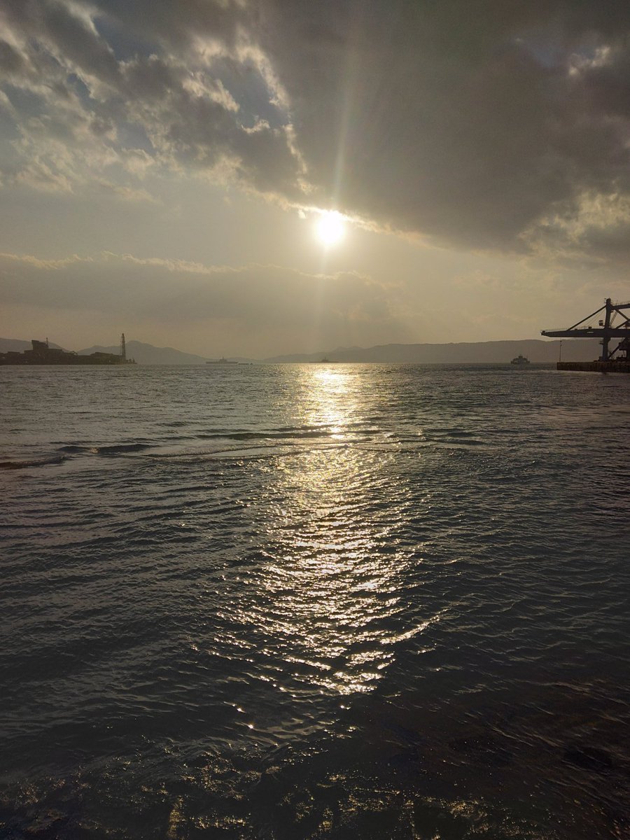 プースケ tweet media