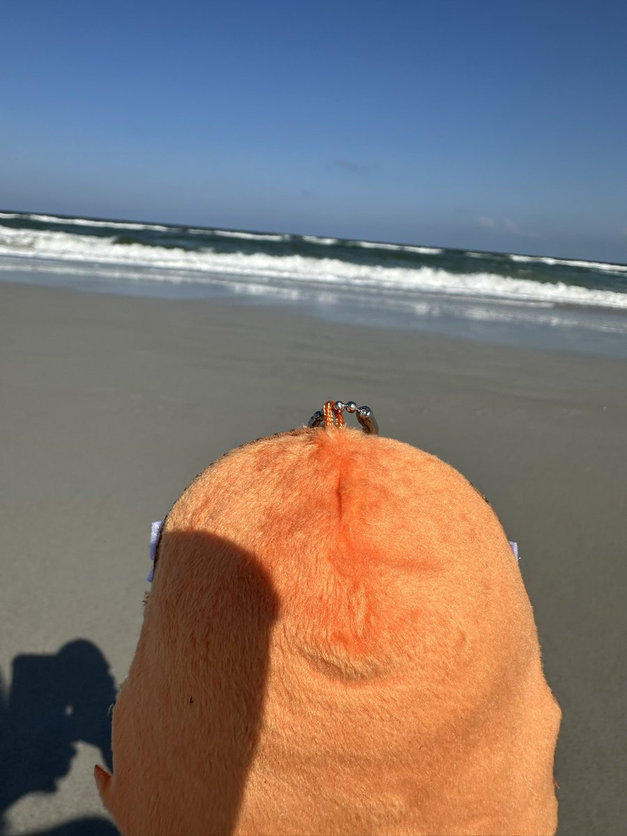 Lex Talionia - Big Sister of the Middle tweet media