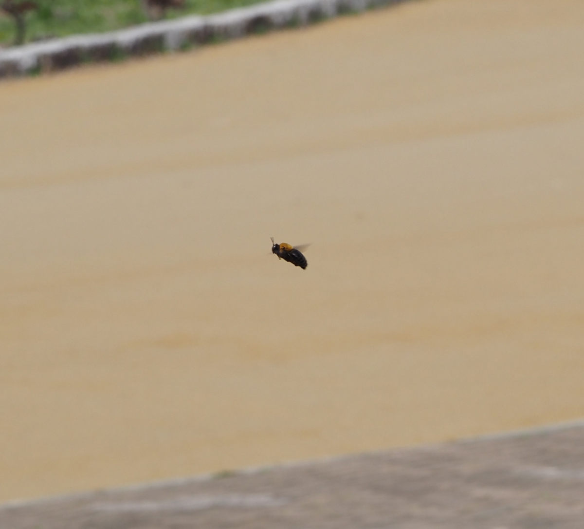 ゴリさん tweet media