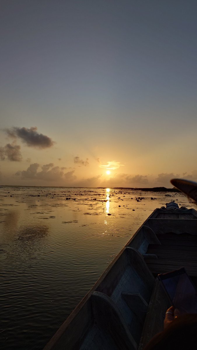 Moverine tweet media