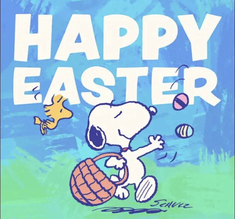 63LimefieldRoad's tweet photo. おはようございます☁️
今日もマイルドに過ごせますように🍀
#HappyEaster
#April5th https://t.co/hnv75pgplH