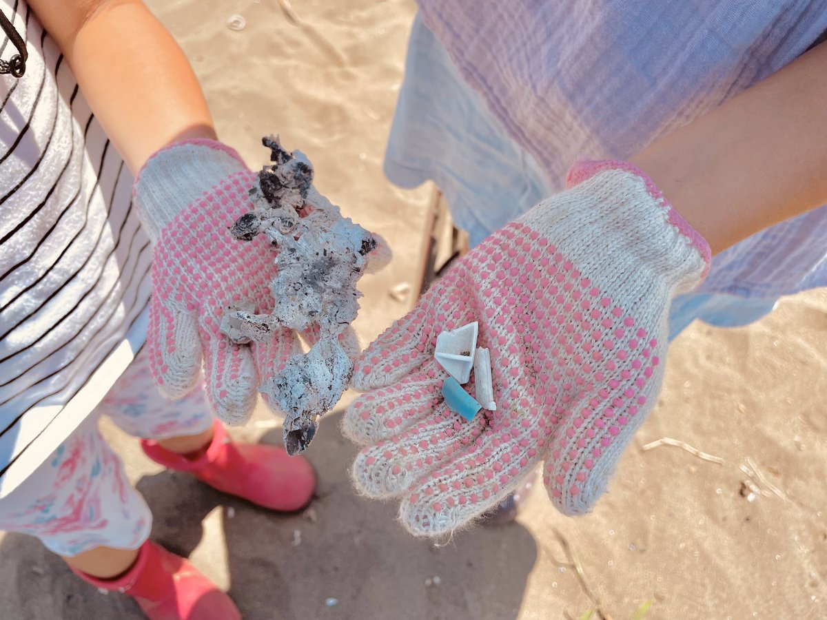 上越市立水族博物館 うみがたり tweet media