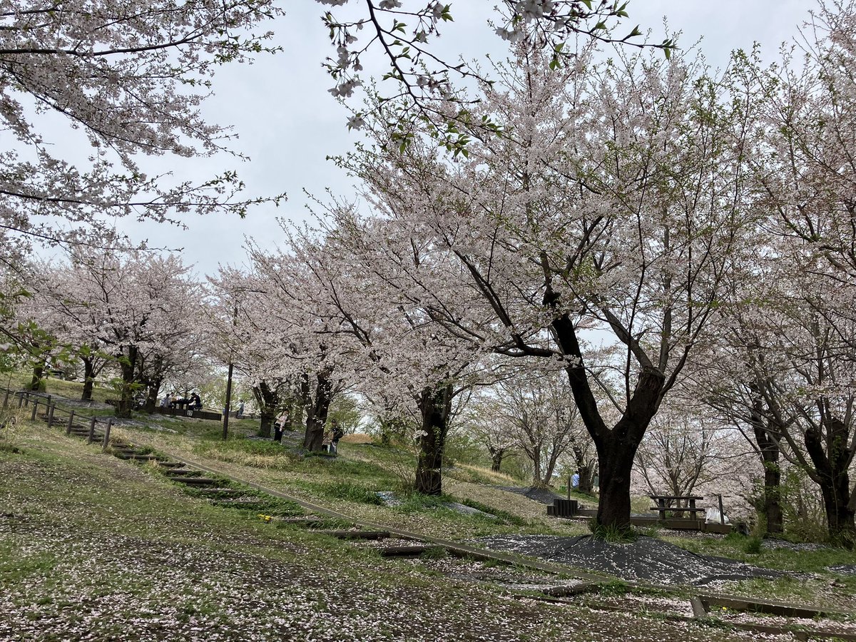 夢眠 (@karuto0113) on Twitter photo 