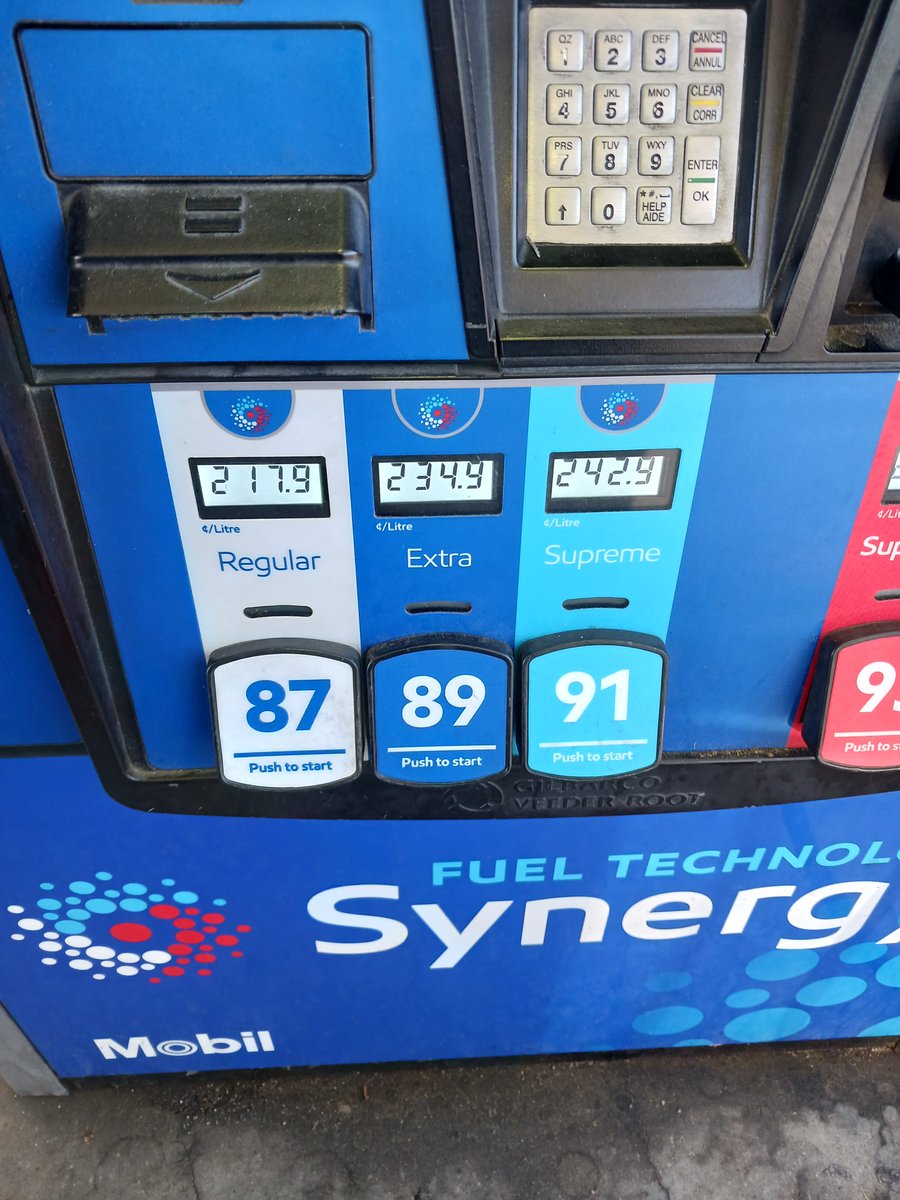 Roaring Hammy 🏇🌹 tweet media