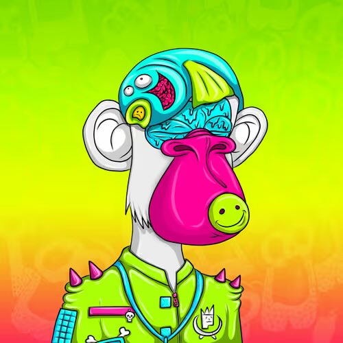 vinchacho tweet media