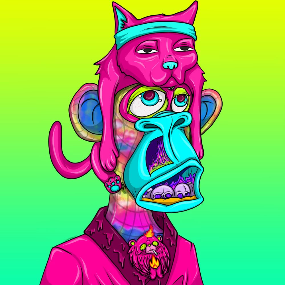 vinchacho tweet media