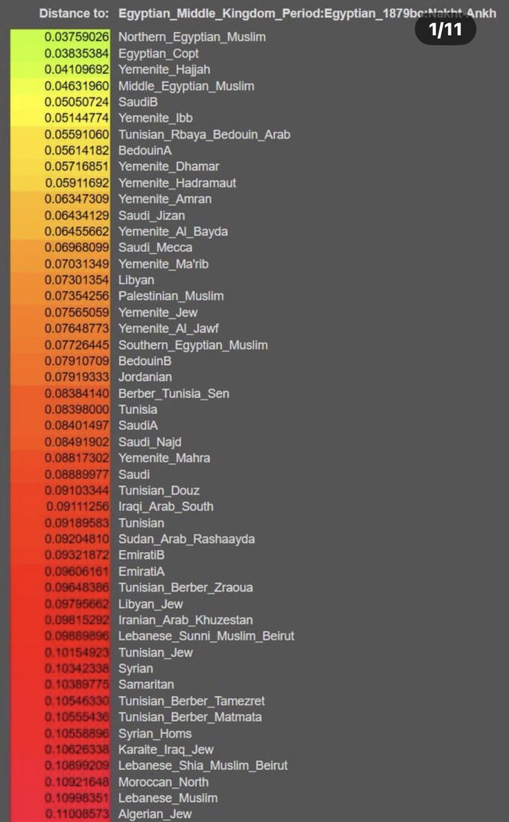 Manaf-Elie Abdullah tweet media