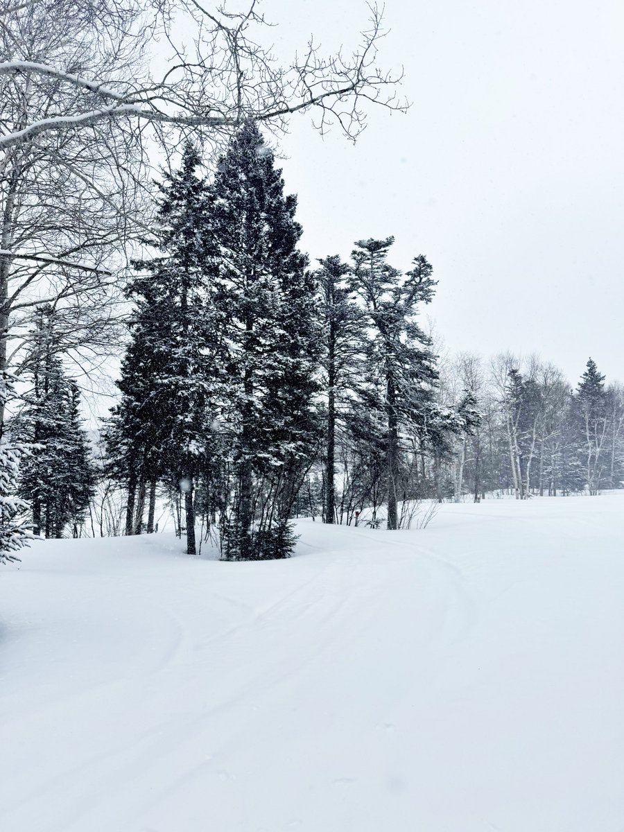 A great winter’s day even though it’s spring.