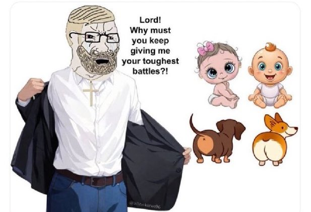 The WHINING WHITE MALE tweet media