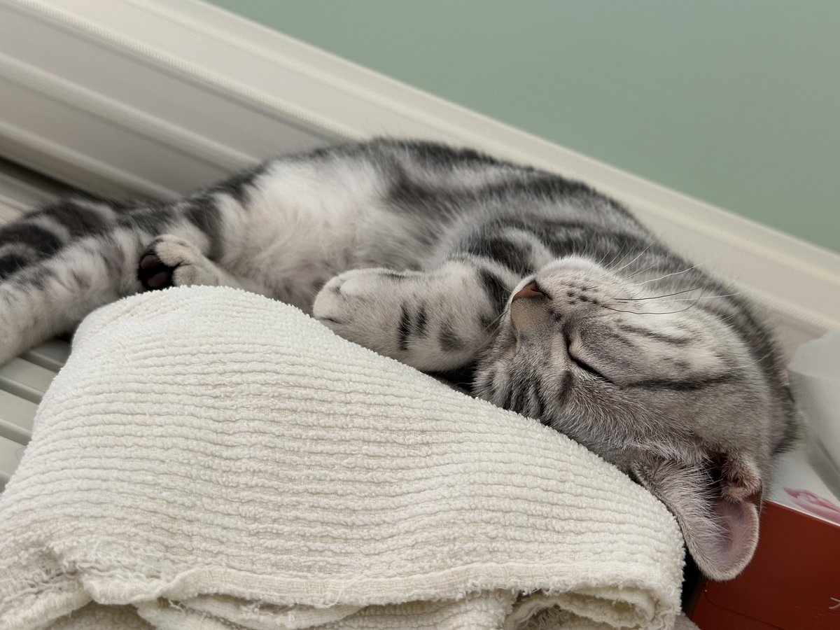 田畑由秋 Tabata Yoshiaki 타바타 요시아키 tweet media