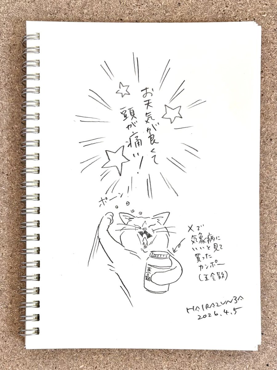 はいらずんば@猫スケッチ tweet media