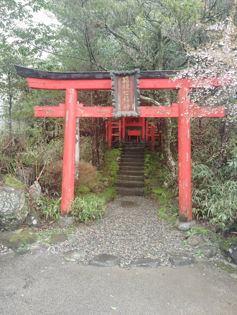 家族で箱根神社参拝⛩️！昨日の大雨から一転し、気持ちの良い朝となりました。明日からまた頑張るかね😉。