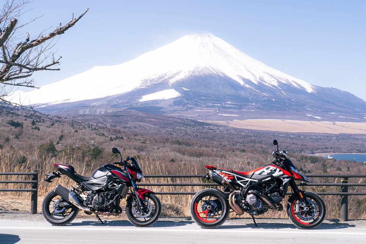 ちょろ tweet media