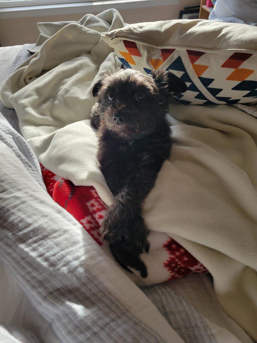 Julie Kubiak/Diamond tweet media