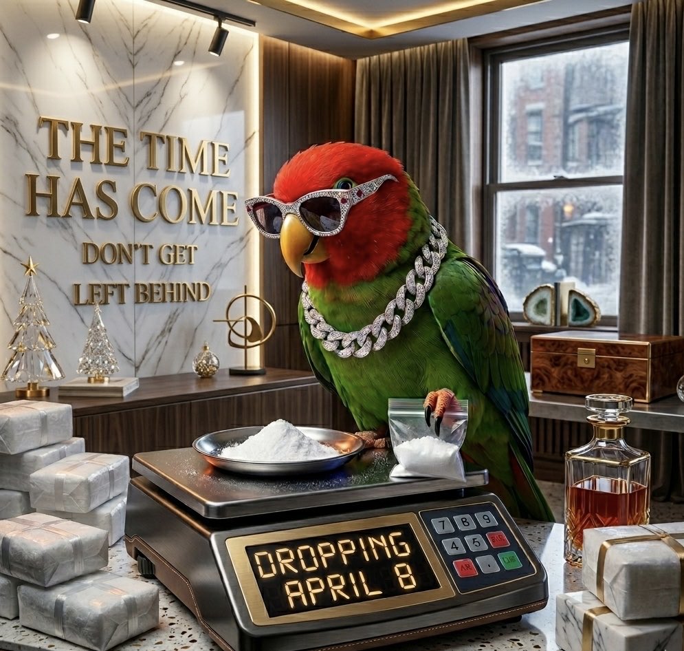 El Perico tweet media