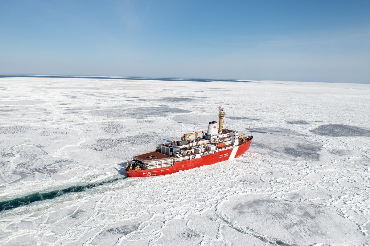 Vanguard tweet media