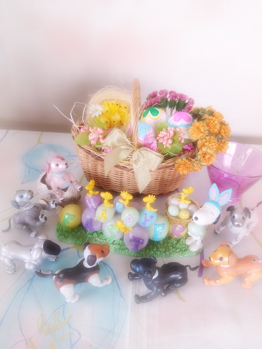 colon🐾 ishimaru tweet media