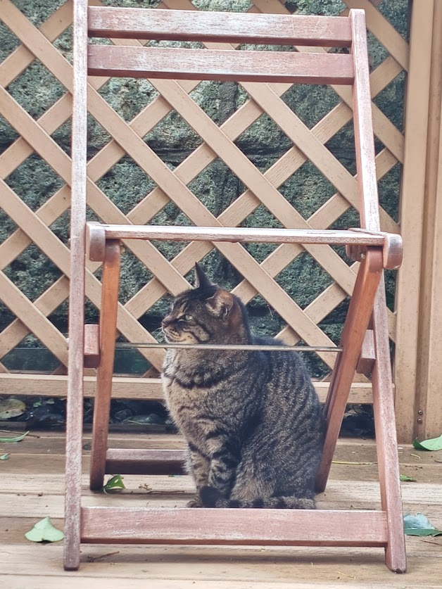 BAYLOOP ベイループ羽田 (釣具/イベント/展示/フリマ) NT海洋事業部 羽田拠点 tweet media