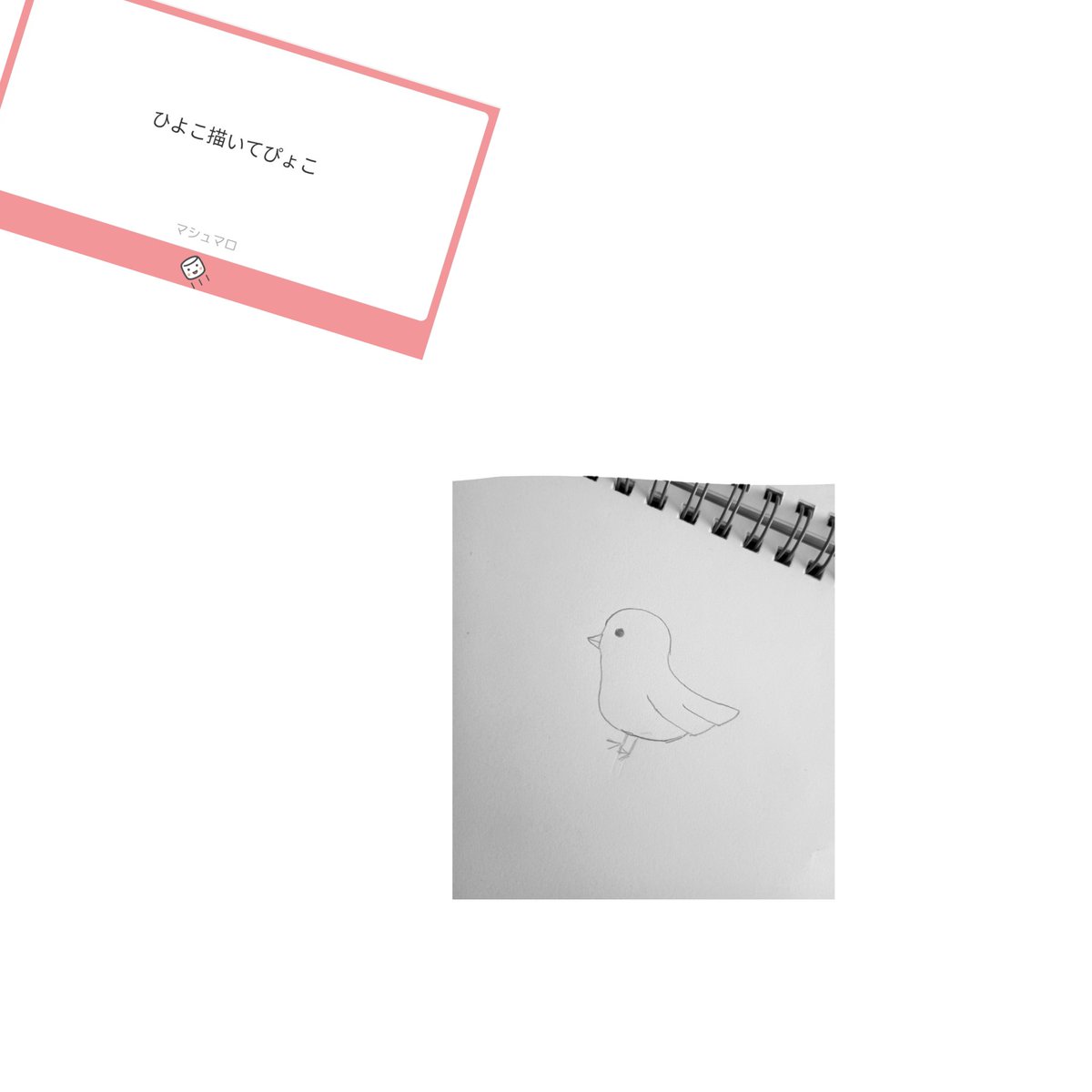 きゃとる/ɔnʇʇןǝ tweet media