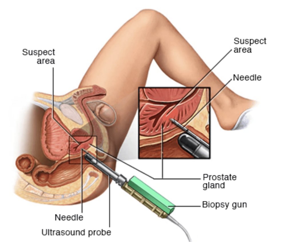 Medicalpost🩺💉 tweet media