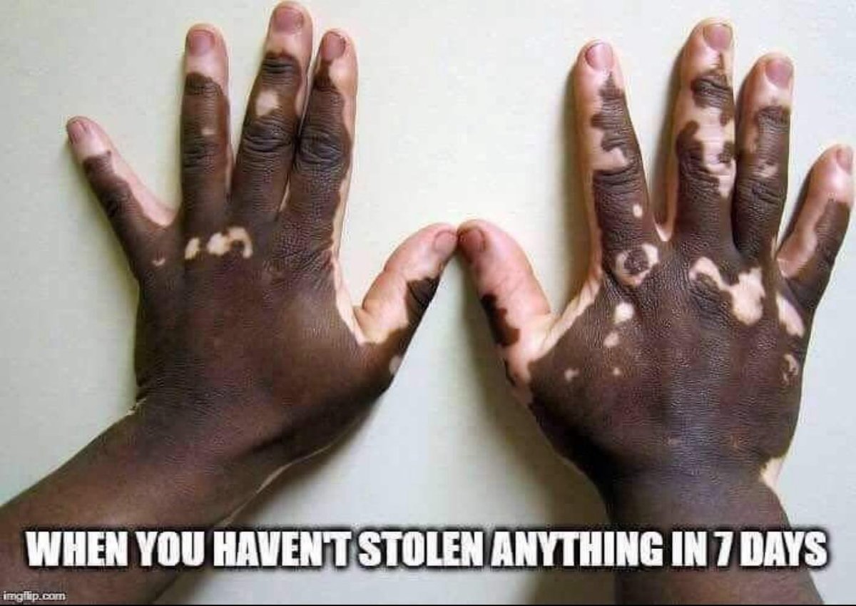 FedUpInFl tweet media