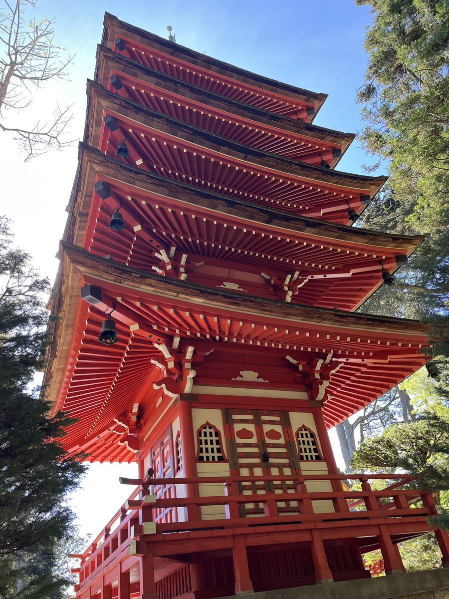 Diane Yap tweet media