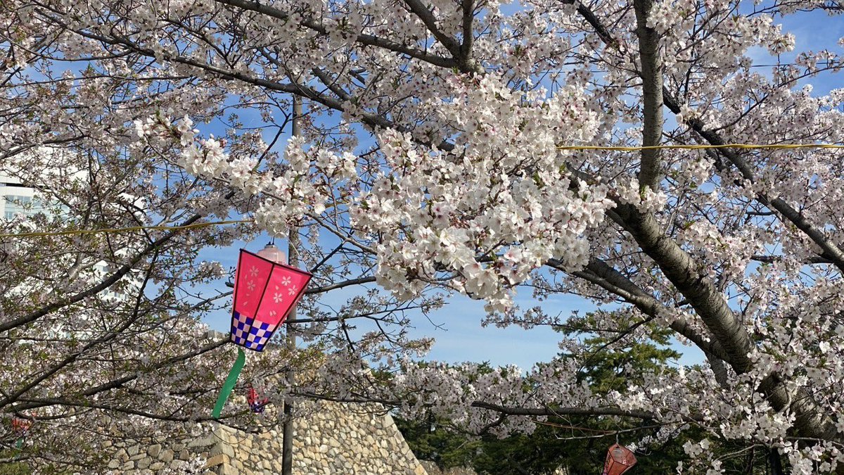 史跡高松城跡玉藻公園 tweet media