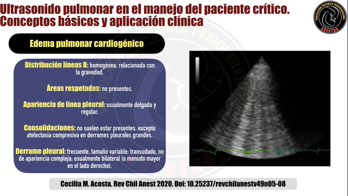 Diego Ketamino tweet media