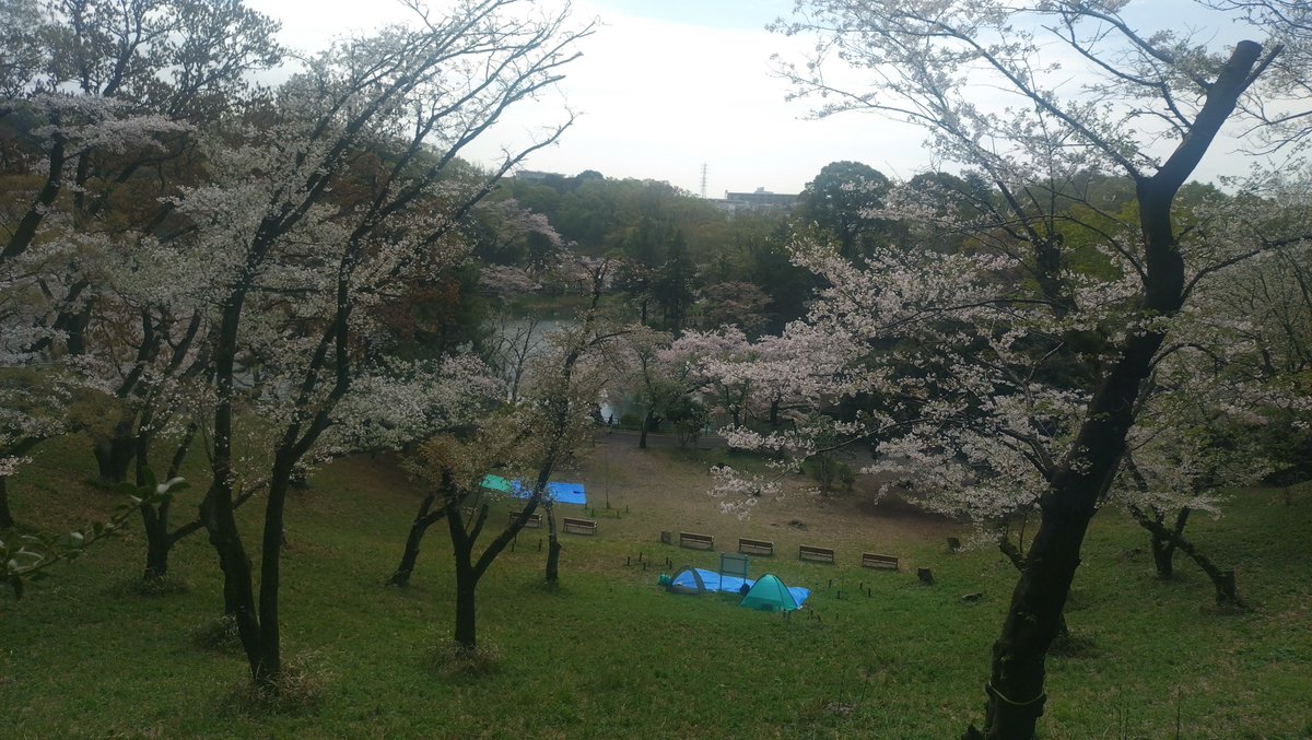 すこみ tweet media