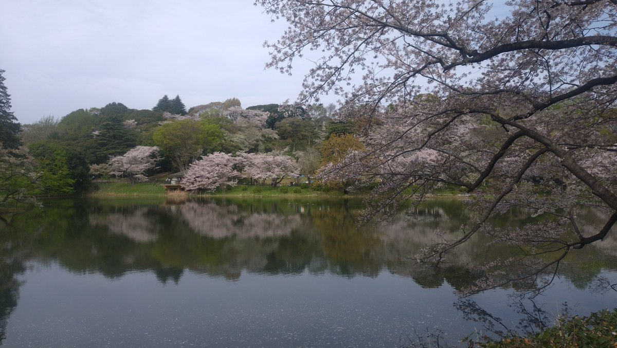 すこみ tweet media