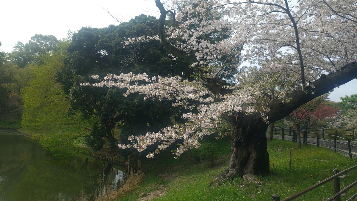 すこみ tweet media