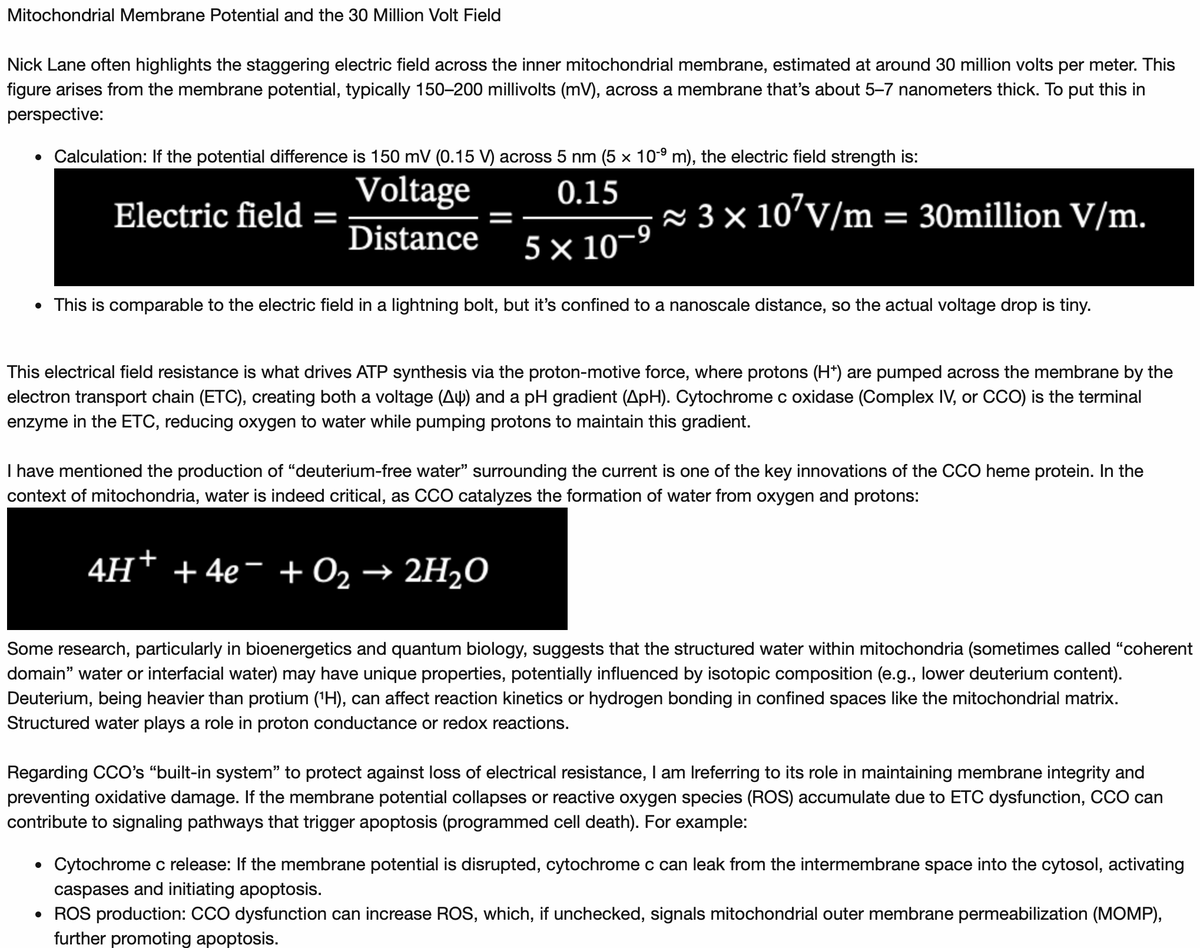 ☣️ Pleb Kruse = BTC foundationalist in exile 🟩🔆 tweet media